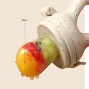 Baby Fruit Pacifier